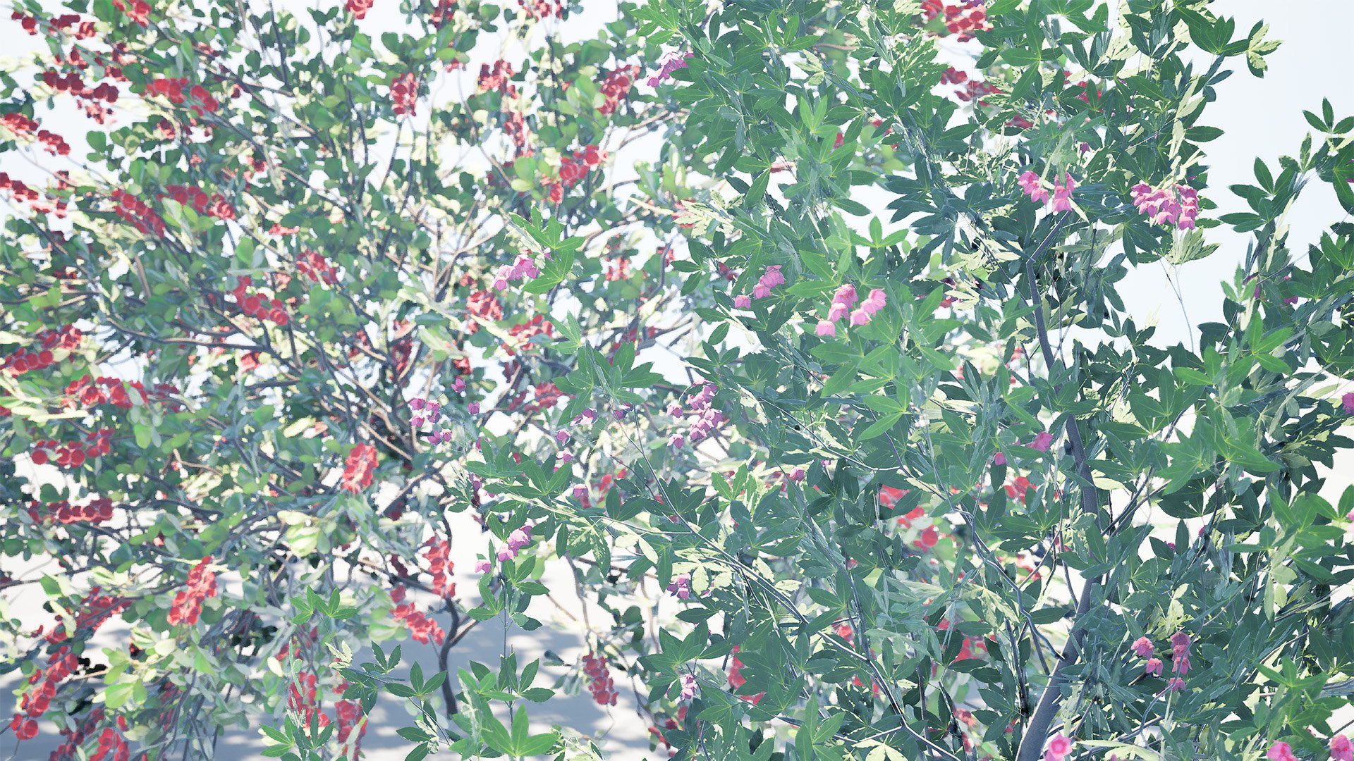 Japanese Garden Plant Trio 3D Models model https://p.turbosquid.com/ts-thumb/sd/uUQCmF/Cs/highresscreenshot00002/jpg/1786489944/1920x1080/fit_q87/521c6c8838838ca9f2c75f73409c9d440e2eaf3d/highresscreenshot00002.jpg