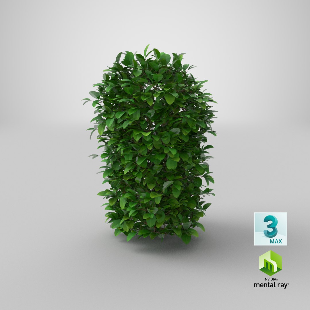 Cartoon Bush 05 3D model https://p.turbosquid.com/ts-thumb/sd/v0zhDy/Do/stemcell_max_mental_ray_render/png/1660224934/1920x1080/fit_q87/4806e0791f57d15983c1ca91119b3dd6712e5e59/stemcell_max_mental_ray_render.jpg