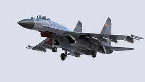 Chinese J11 Fighter Jet