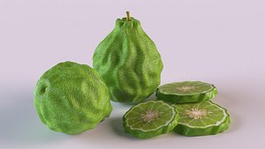 lime food fruit 3D model