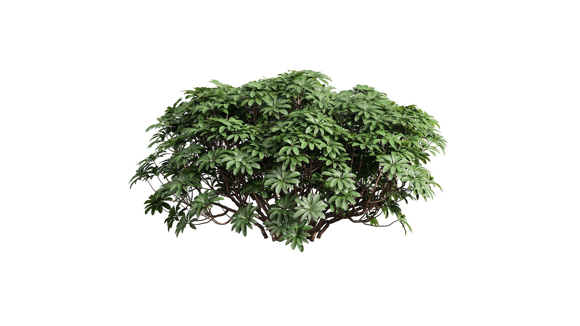 9Different SETS of Bush Set Vol 48 3D model https://p.turbosquid.com/ts-thumb/se/AuV081/27/z034/jpg/1718198795/1920x1080/fit_q87/66ac8087a36d57a9acd5575e9eb584b0fa8776c9/z034.jpg