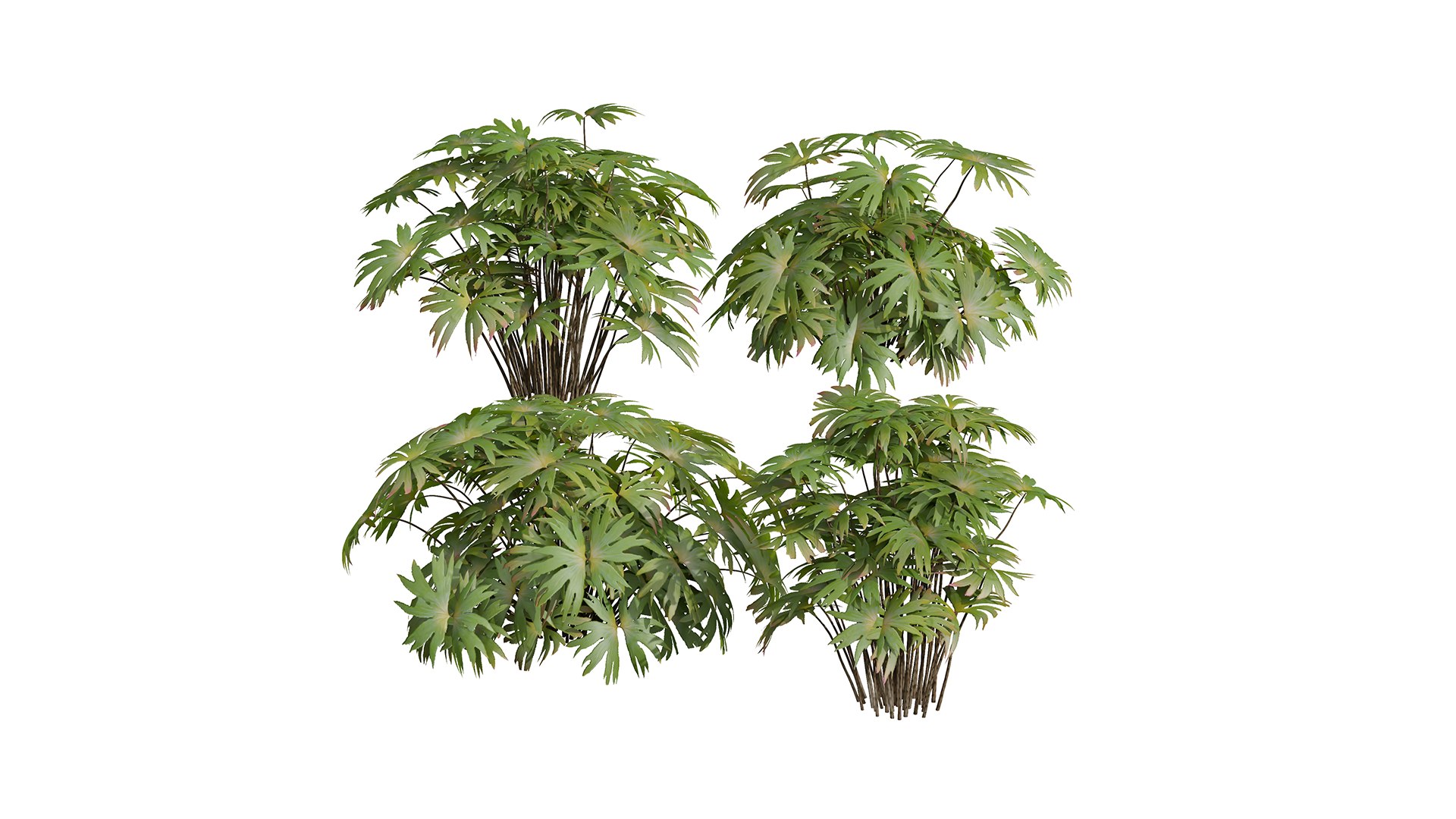 9Different SETS of Bush Set Vol 48 3D model https://p.turbosquid.com/ts-thumb/se/AuV081/8I/z01/png/1717585774/1920x1080/fit_q87/c03279fd9262de720a673542fe364c4cf14803db/z01.jpg