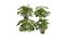 9Różne ZESTAWY zestawu Bush Set, tom 48