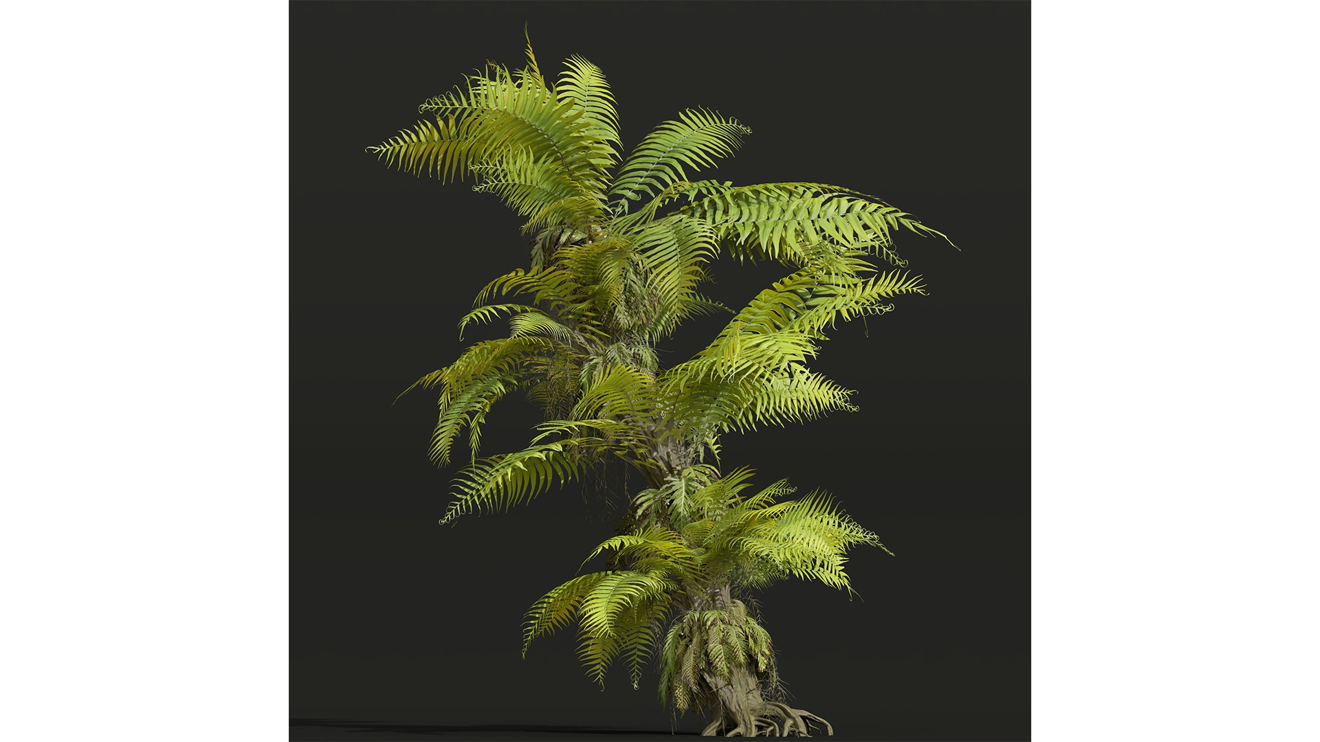 9Different SETS of Bush Set Vol 48 3D model https://p.turbosquid.com/ts-thumb/se/AuV081/DM/z023/jpg/1718198789/1920x1080/fit_q87/600923385346b1db9eca59140905a22c3ce22b07/z023.jpg