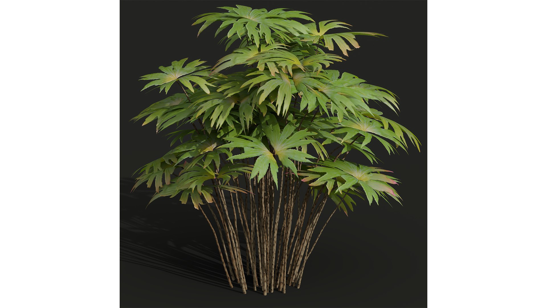 9Different SETS of Bush Set Vol 48 3D model https://p.turbosquid.com/ts-thumb/se/AuV081/HC/z032/jpg/1718198794/1920x1080/fit_q87/6ec62da3f57d7c6987676d5560b0f228511e147f/z032.jpg