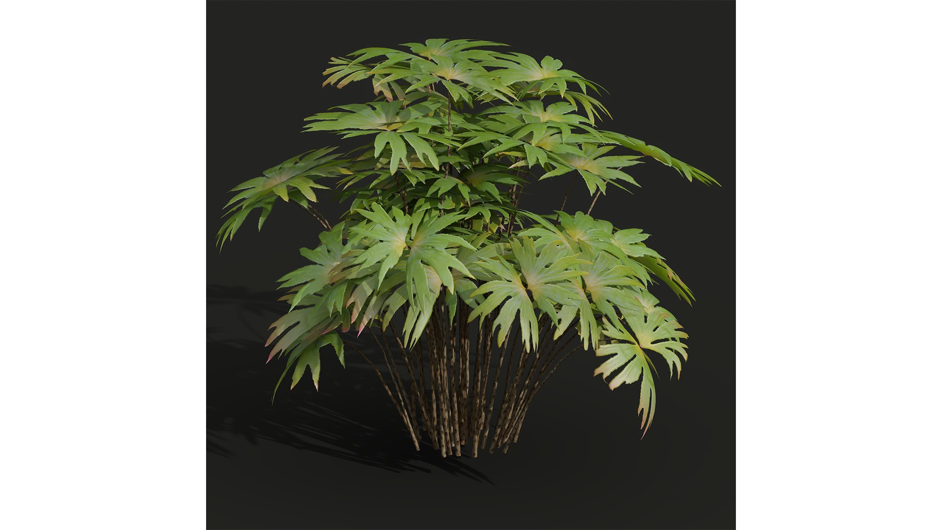 9Different SETS of Bush Set Vol 48 3D model https://p.turbosquid.com/ts-thumb/se/AuV081/I7/z021/jpg/1718198789/1920x1080/fit_q87/422f912108170c5c956dfd8436496d5560977b86/z021.jpg