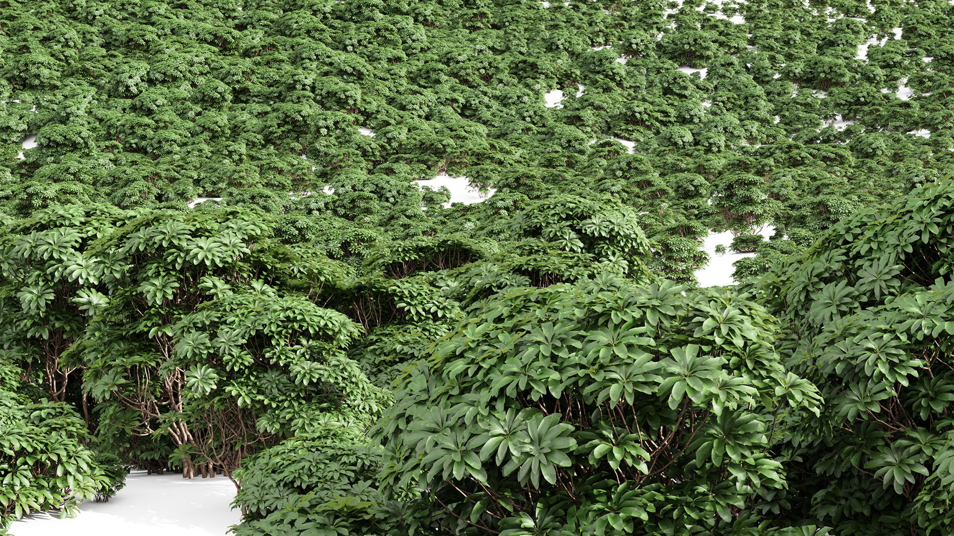 9Different SETS of Bush Set Vol 48 3D model https://p.turbosquid.com/ts-thumb/se/AuV081/VQ/z025/jpg/1718198792/1920x1080/fit_q87/3862a0abdaa35502ab2ce75f60784647806a7002/z025.jpg