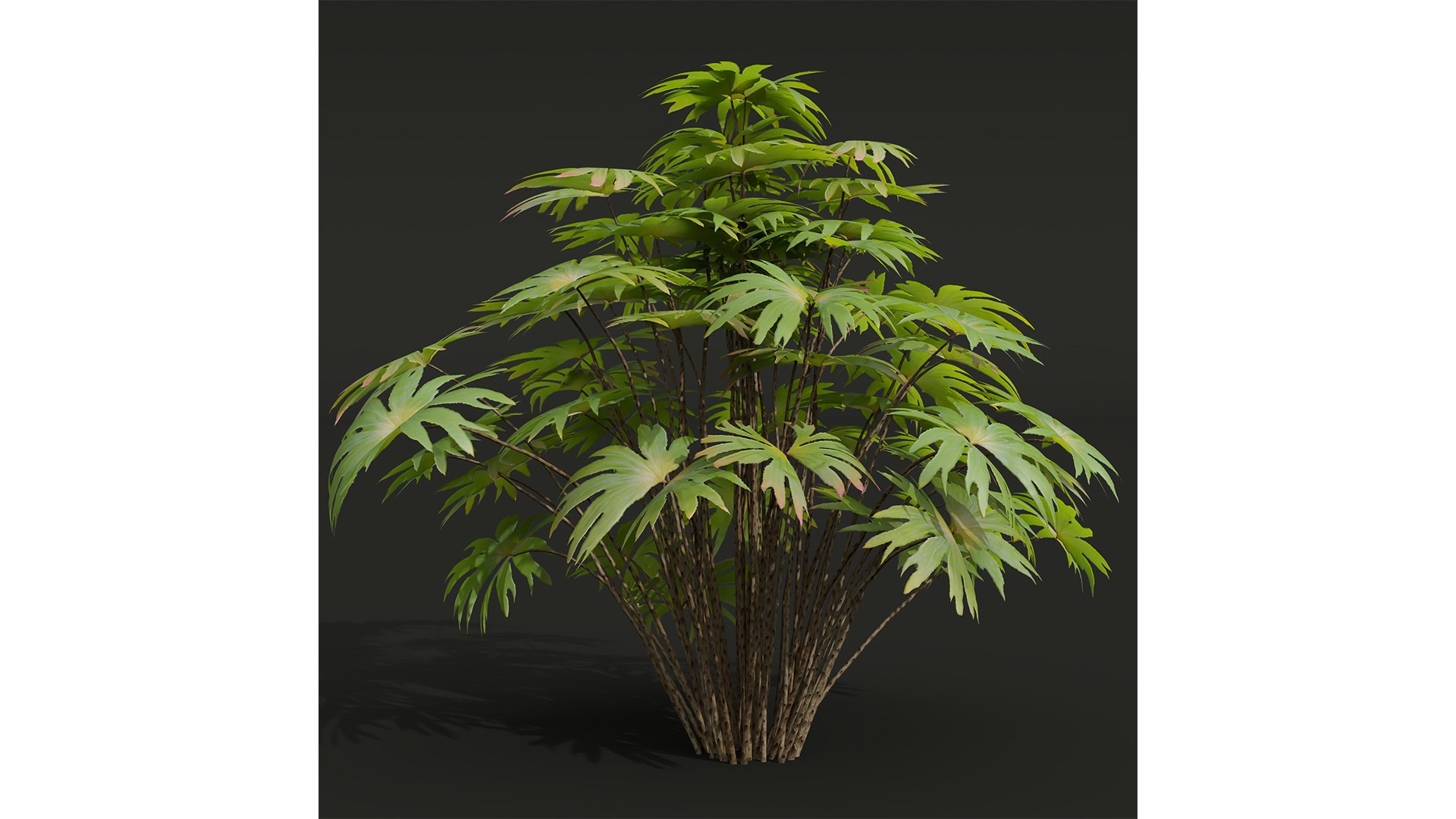 9Different SETS of Bush Set Vol 48 3D model https://p.turbosquid.com/ts-thumb/se/AuV081/cz/z031/jpg/1718198793/1920x1080/fit_q87/b7960081e62c45ed3438cdb49b4edf6ce5cf50af/z031.jpg