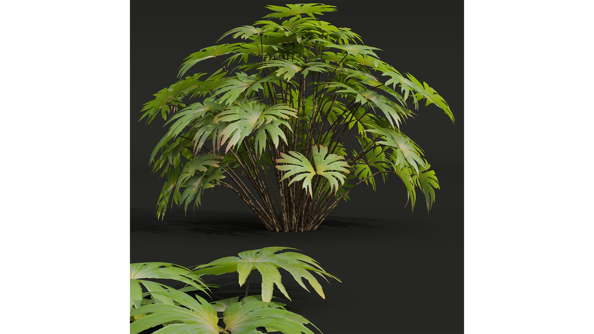 9Different SETS of Bush Set Vol 48 3D model https://p.turbosquid.com/ts-thumb/se/AuV081/i8/z02/jpg/1718198792/1920x1080/fit_q87/b2258213ee4058baf85a920f3cd218eee4880442/z02.jpg