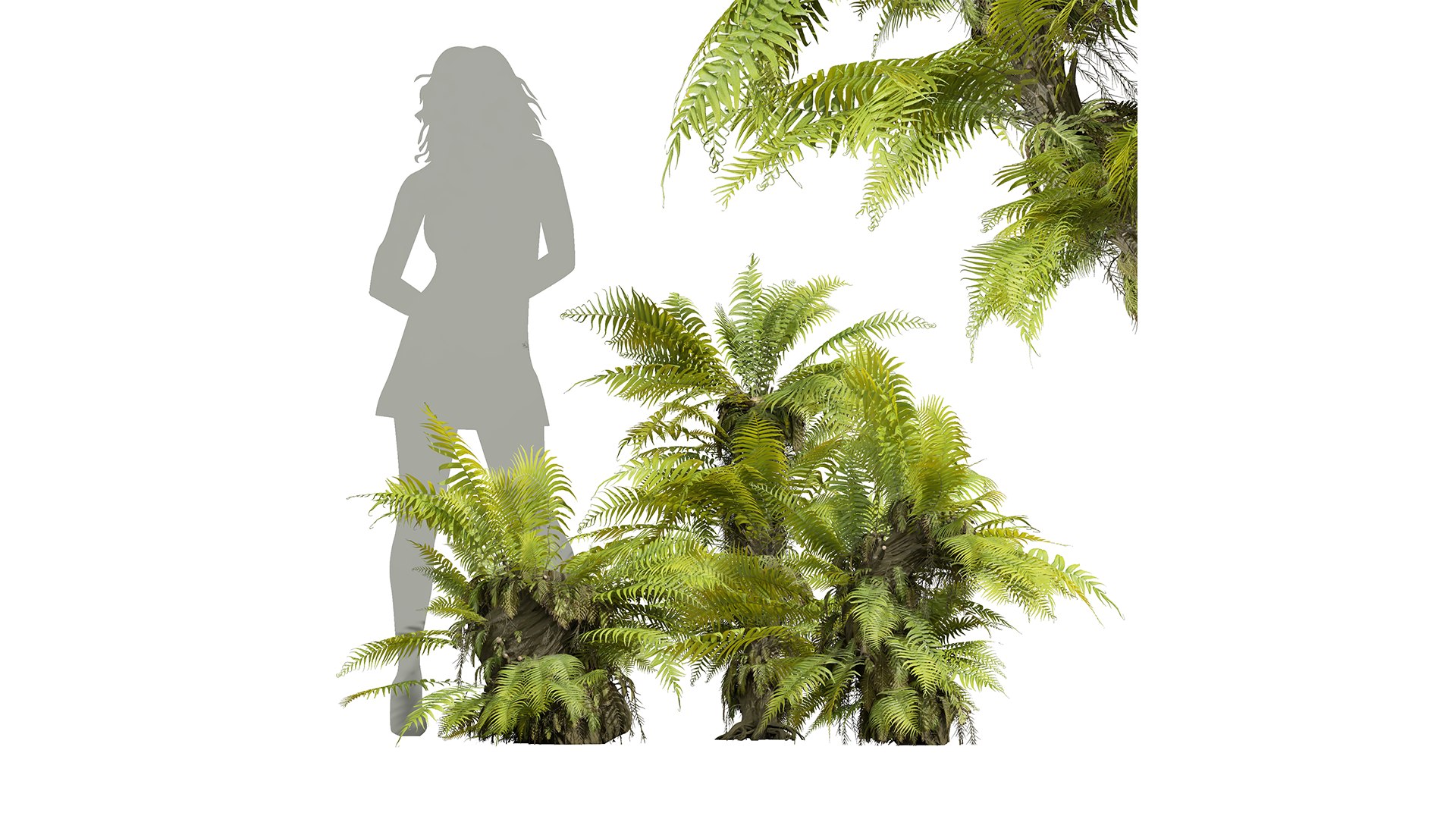 9Different SETS of Bush Set Vol 48 3D model https://p.turbosquid.com/ts-thumb/se/AuV081/jQ/z01/png/1717587356/1920x1080/fit_q87/9f35114da17178cbe1b580098af5192e69cb2caf/z01.jpg