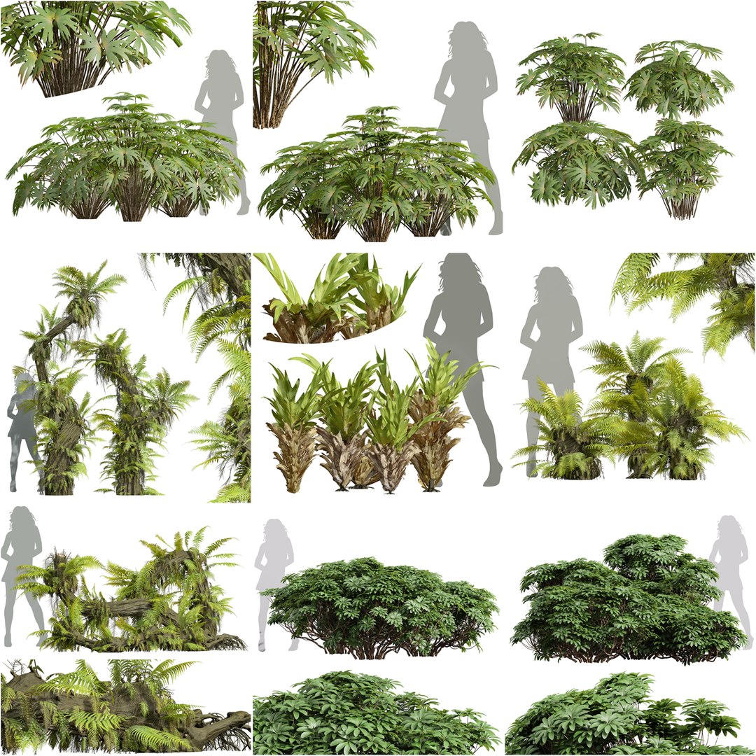 9Different SETS of Bush Set Vol 48 3D model https://p.turbosquid.com/ts-thumb/se/AuV081/p5/z0001/png/1718198964/1920x1080/fit_q87/0cfaabf2a04ec7ba9449b981d5bf3e2fd341384f/z0001.jpg