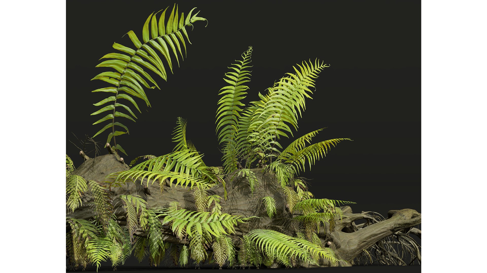 9Different SETS of Bush Set Vol 48 3D model https://p.turbosquid.com/ts-thumb/se/AuV081/q5/z024/jpg/1718198791/1920x1080/fit_q87/8f6c0b7d8a8b492f2b2908cf666229fcdaad5229/z024.jpg