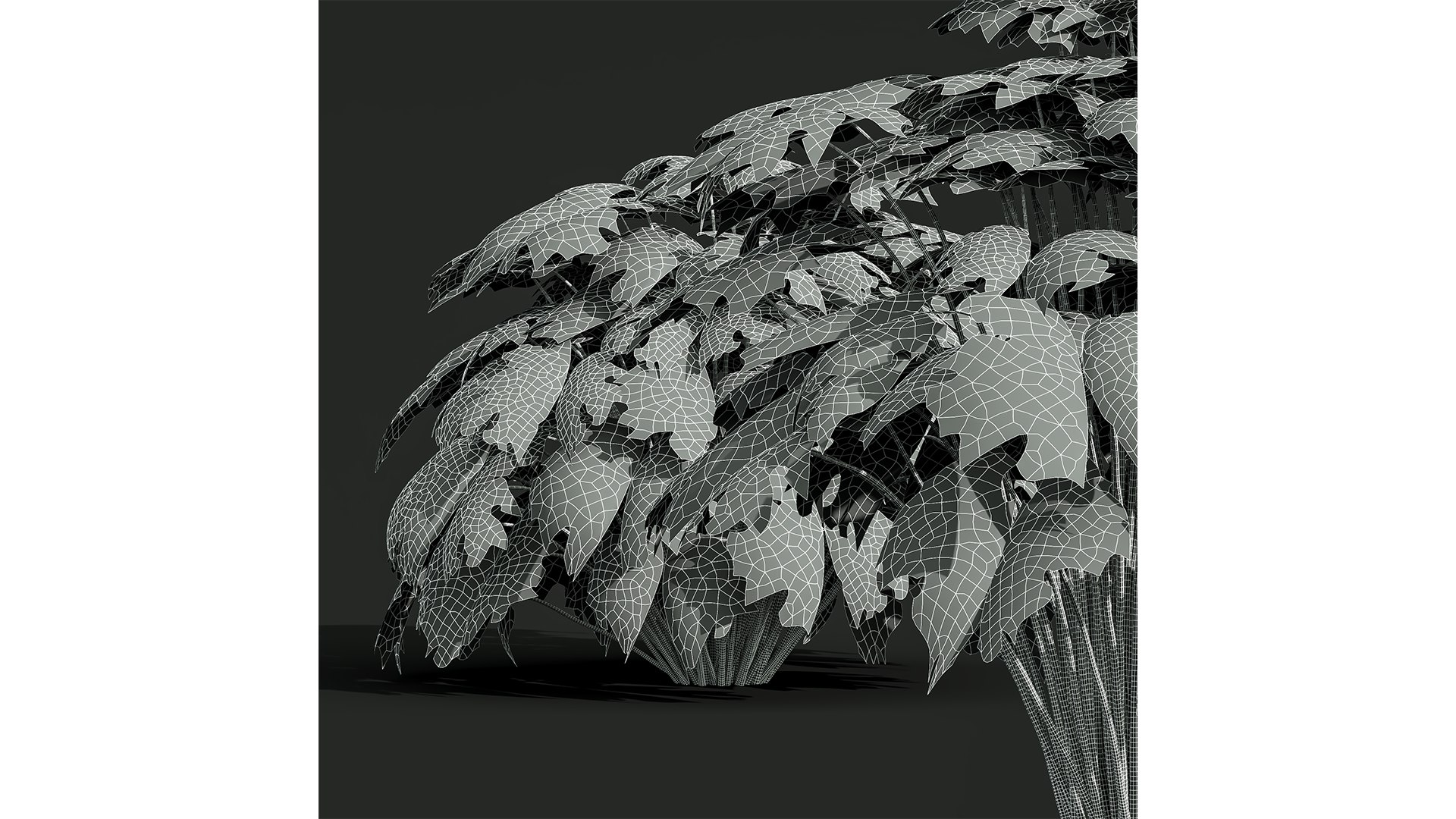 9Different SETS of Bush Set Vol 48 3D model https://p.turbosquid.com/ts-thumb/se/AuV081/rb/z06/png/1717584913/1920x1080/fit_q87/4d1436c3f4b40c6998b97d83cfda0d39dcaef41f/z06.jpg