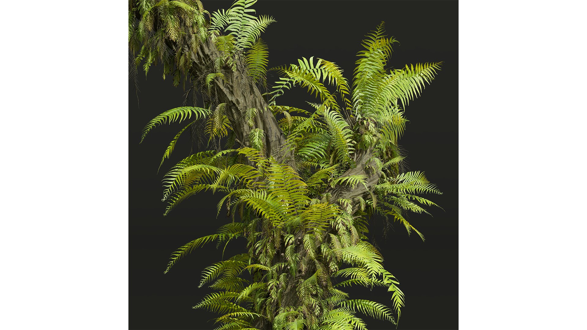 9Different SETS of Bush Set Vol 48 3D model https://p.turbosquid.com/ts-thumb/se/AuV081/rv/z02/png/1717586417/1920x1080/fit_q87/726cab7059568d8cf9aa3797e2586d6ed6312236/z02.jpg