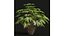 9Różne ZESTAWY zestawu Bush Set, tom 48