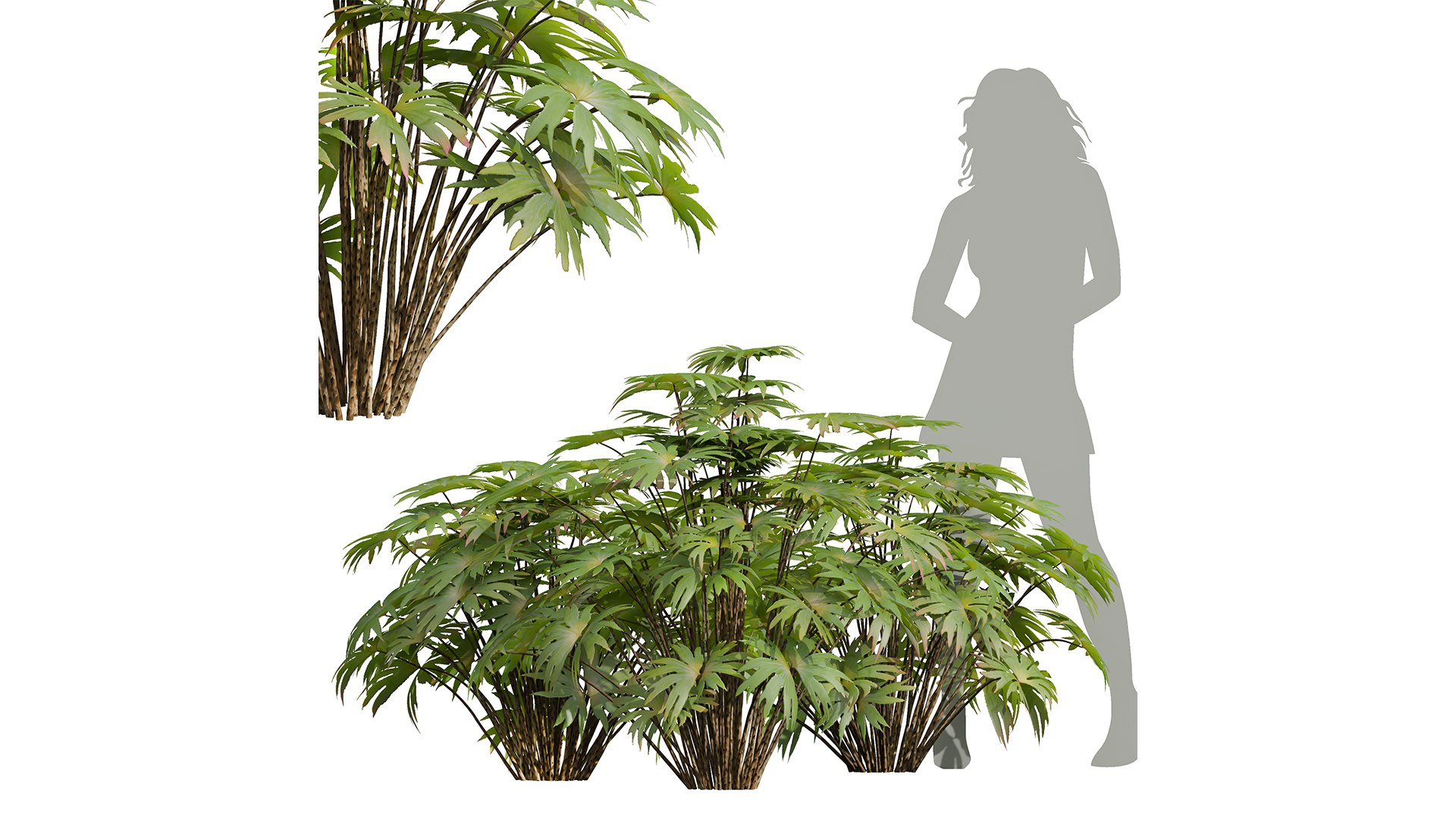 9Different SETS of Bush Set Vol 48 3D model https://p.turbosquid.com/ts-thumb/se/AuV081/wF/z01/png/1717585249/1920x1080/fit_q87/7c0baf5023ba7327344ba06df37a17033be9d68b/z01.jpg