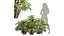 9Różne ZESTAWY zestawu Bush Set, tom 48