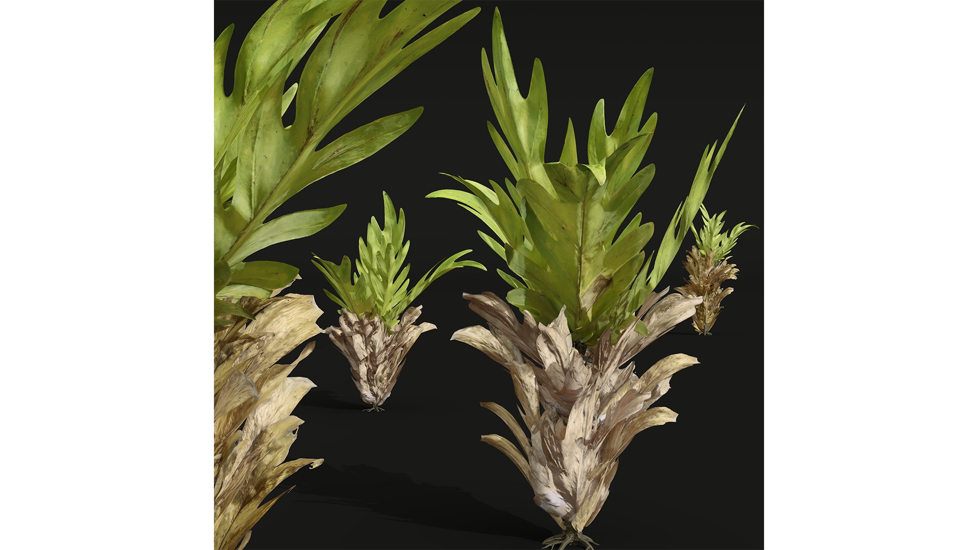 9Different SETS of Bush Set Vol 48 3D model https://p.turbosquid.com/ts-thumb/se/AuV081/xZ/z033/jpg/1718198794/1920x1080/fit_q87/4c2269a8ed669fbc14f77a2411cc3a5ed65e66e5/z033.jpg