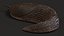 Black Garden Slug Crawling