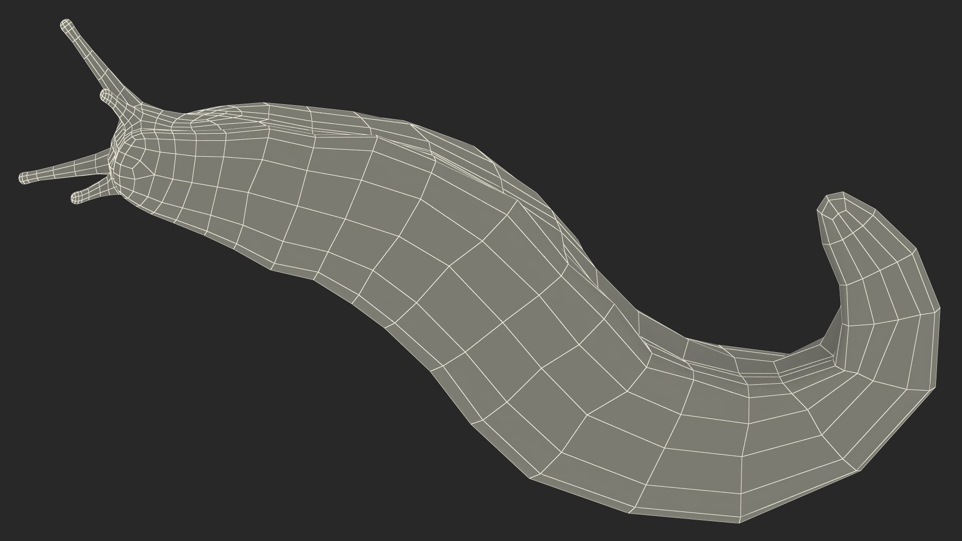 Black Garden Slug Crawling 3D model https://p.turbosquid.com/ts-thumb/se/EMHzVU/7G/blackgardenslugcrawlingc4dmodel026/jpg/1673621797/1920x1080/fit_q87/fe5812ce7ac960f09d4f02c9385be7d0eda6f7fe/blackgardenslugcrawlingc4dmodel026.jpg