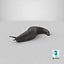 Black Garden Slug Crawling