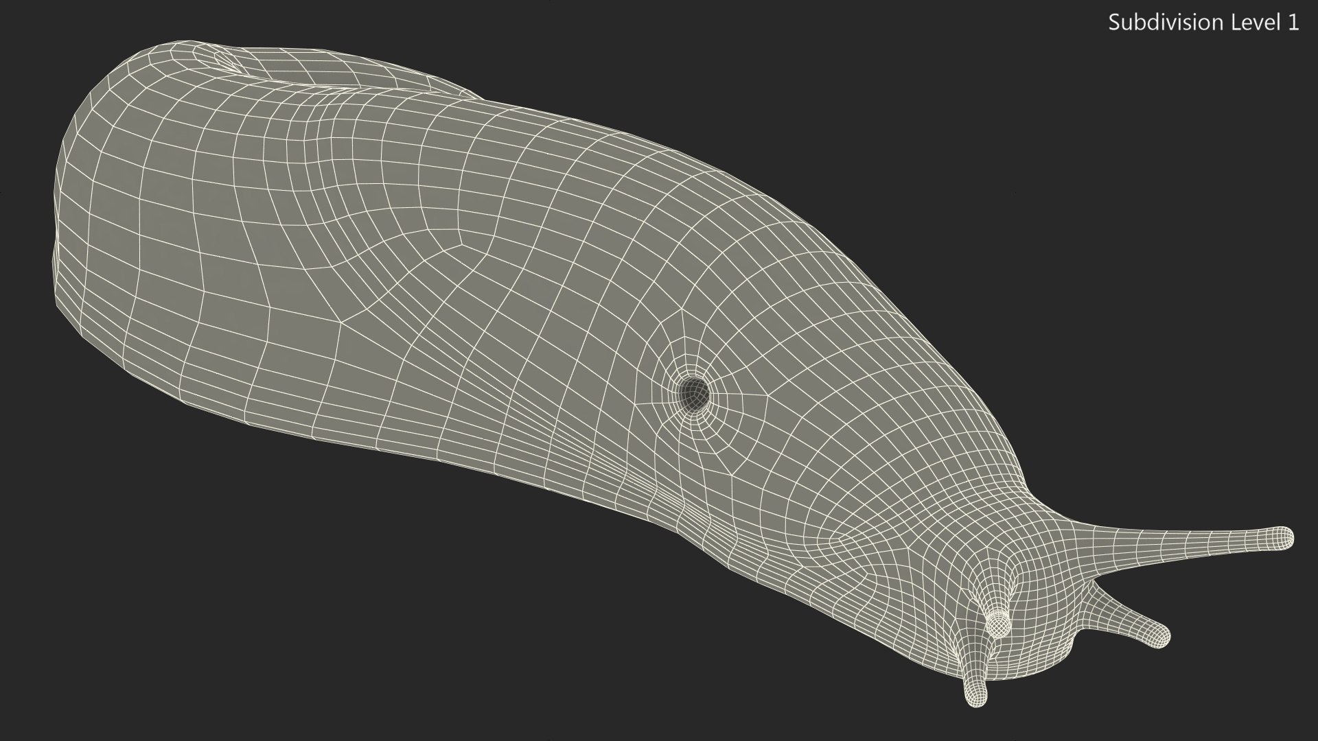 Black Garden Slug Crawling 3D model https://p.turbosquid.com/ts-thumb/se/EMHzVU/Oj/blackgardenslugcrawlingc4dmodel018/jpg/1673621772/1920x1080/fit_q87/fa37df71c7b7f44f7d4f9d4f332880394780cd9a/blackgardenslugcrawlingc4dmodel018.jpg