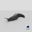 Black Garden Slug Crawling