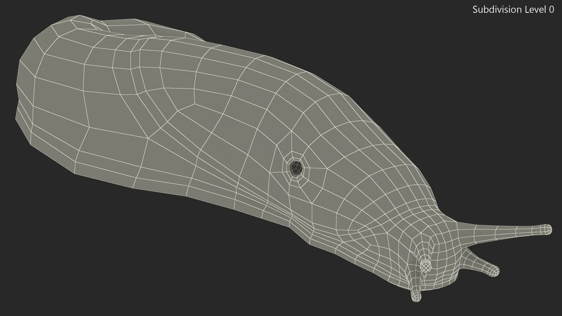 Black Garden Slug Crawling 3D model https://p.turbosquid.com/ts-thumb/se/EMHzVU/YV/blackgardenslugcrawlingc4dmodel017/jpg/1673621770/1920x1080/fit_q87/3420c9d101cfb59332d4f4eef03632cce256691e/blackgardenslugcrawlingc4dmodel017.jpg
