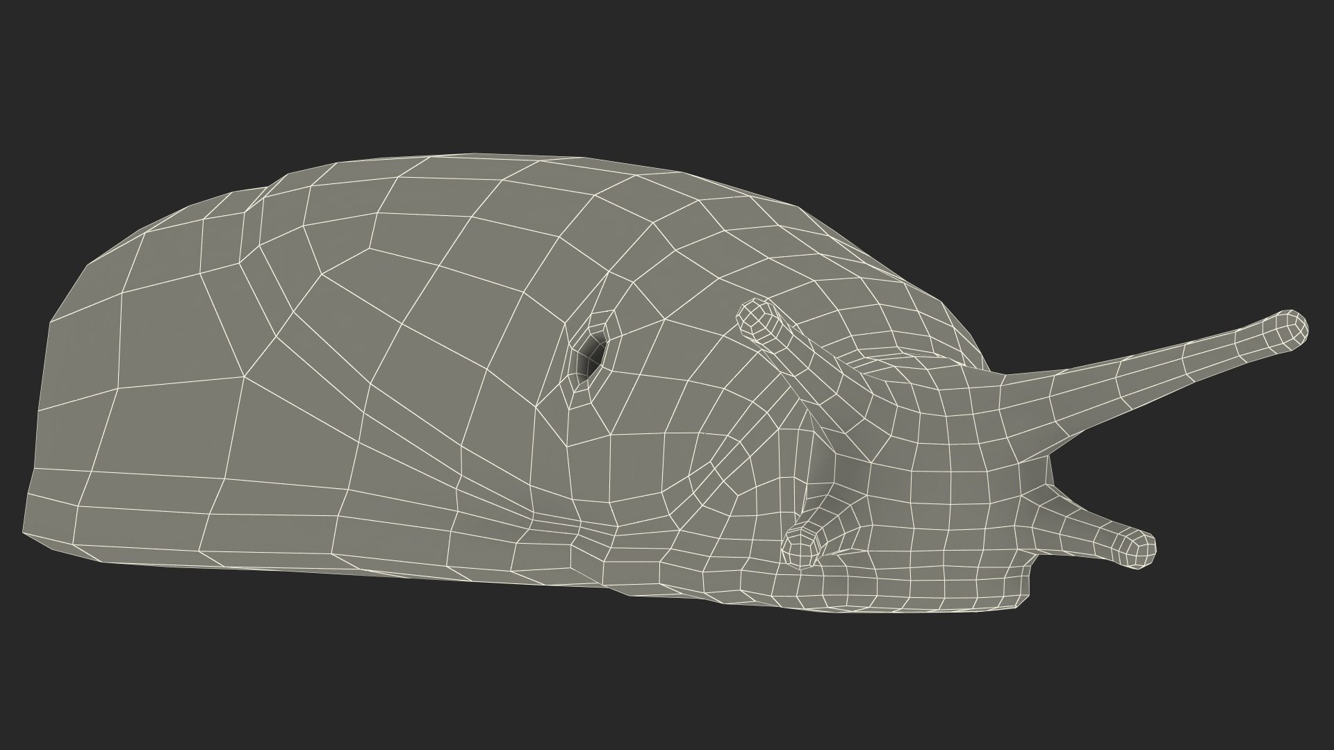 Black Garden Slug Crawling 3D model https://p.turbosquid.com/ts-thumb/se/EMHzVU/YW/blackgardenslugcrawlingc4dmodel024/jpg/1673621791/1920x1080/fit_q87/ce990f5f5ea0d487e5afc436edfb6bf57bb1998e/blackgardenslugcrawlingc4dmodel024.jpg