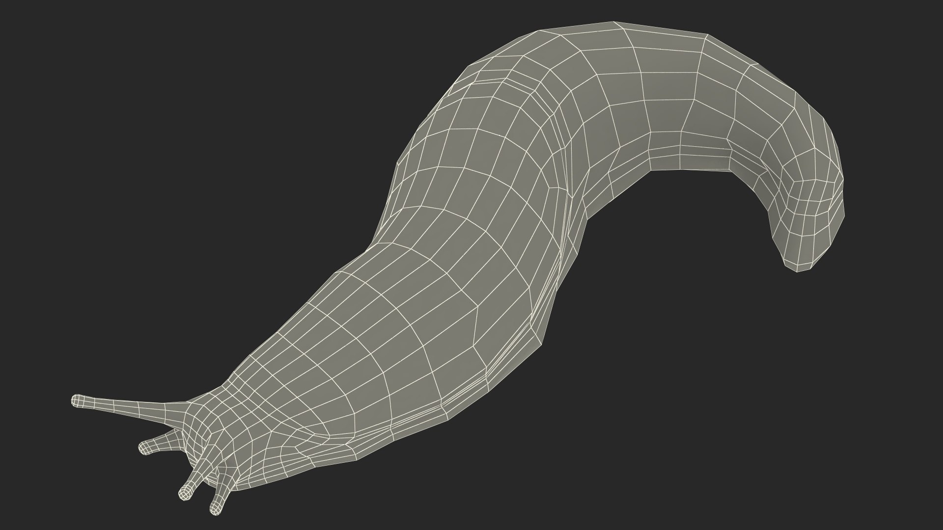 Black Garden Slug Crawling 3D model https://p.turbosquid.com/ts-thumb/se/EMHzVU/v5/blackgardenslugcrawlingc4dmodel023/jpg/1673621788/1920x1080/fit_q87/ad5d26906220ac08982507dd0b259610c4a4e3d8/blackgardenslugcrawlingc4dmodel023.jpg