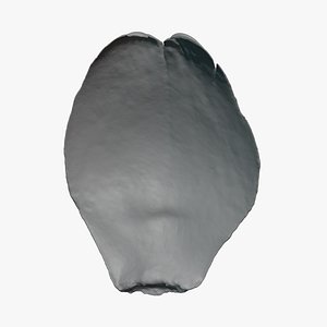 Artichoke Leaf 02 - For 3D Print model