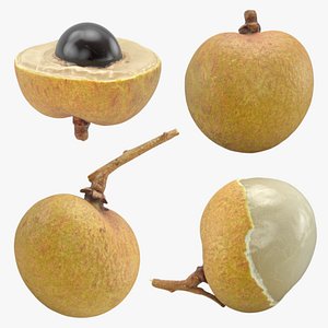 Longan Collection