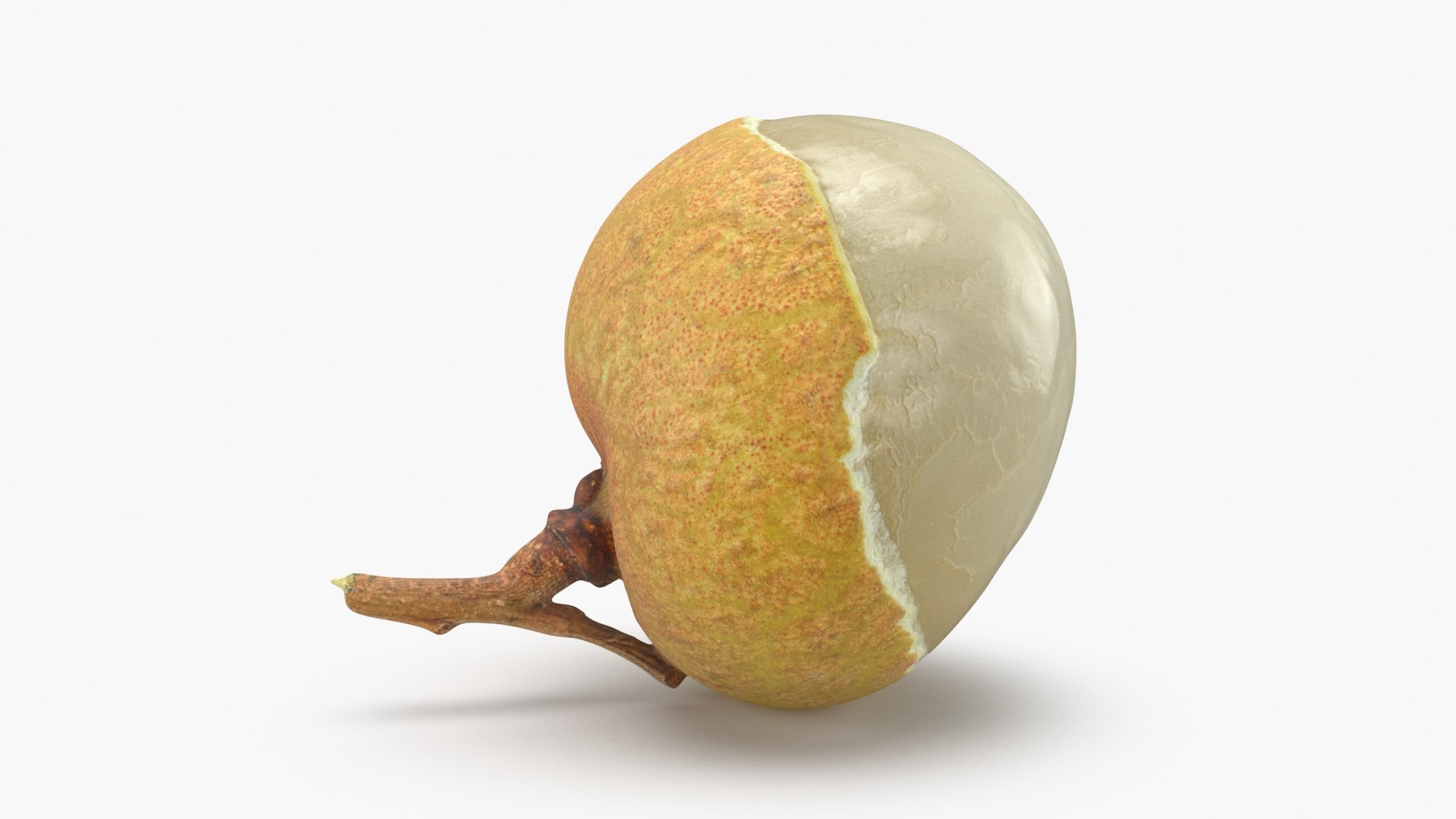Longan Collection 3D model https://p.turbosquid.com/ts-thumb/se/RzTnVK/DQ/longancut01_a0001/jpg/1781257035/1920x1080/fit_q87/9c93e08904061448a0bb7503e7059b619f35c1a8/longancut01_a0001.jpg