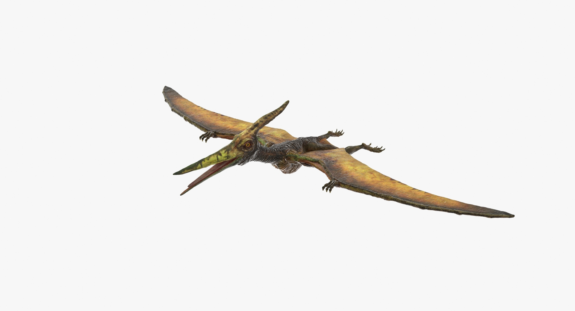 Ark Survival Evolved Pteranodon - M.RArts - Drawings