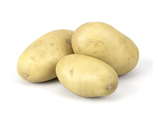 3D different scanned potato model