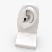 Ear figure 3D model