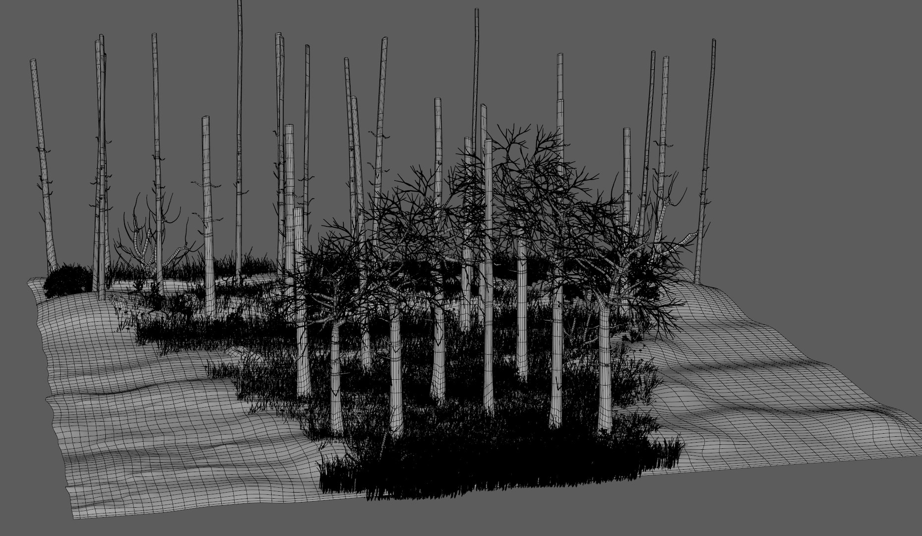 3D cartoon forest https://p.turbosquid.com/ts-thumb/se/emUMoe/WeJXbUSn/trees9/jpg/1537808590/1920x1080/fit_q87/11609b54f78409c6c1c8f344c56feb5876d77309/trees9.jpg