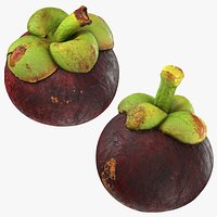 Whole Mangosteen Collection