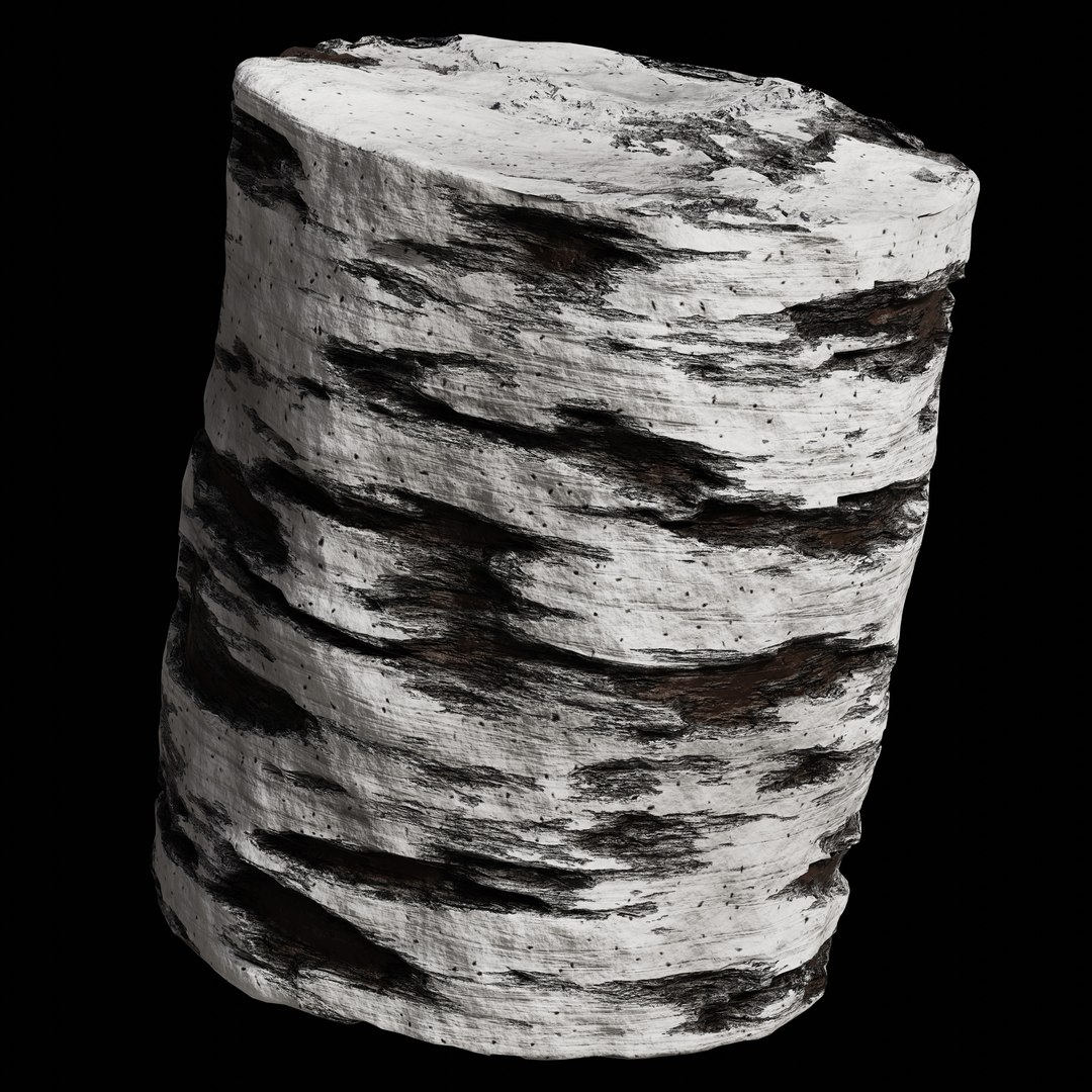 Blender Procedural Wood Material Pack 1 3D https://p.turbosquid.com/ts-thumb/se/pClI0P/EJ/whitebirchtreebark/jpg/1713805848/1920x1080/fit_q87/6abda8a46dfb755b3885c69bb57702ee764bcf5e/whitebirchtreebark.jpg