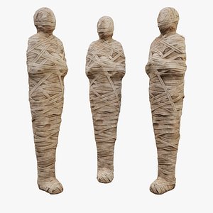 Mummy model