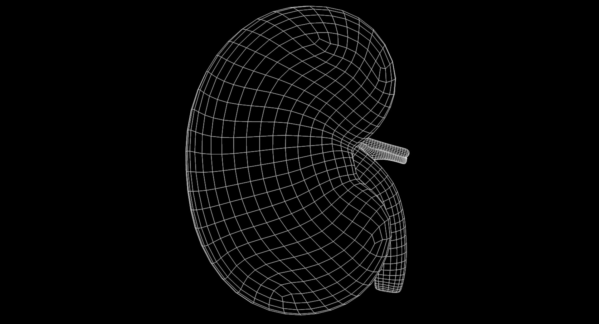 human kidney 3D model https://p.turbosquid.com/ts-thumb/sf/46v7Kf/o6tPrw8T/9/png/1562342648/1920x1080/fit_q87/8f9763b68fb8e047a94c79b1adf7ebca011e31e0/9.jpg
