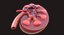Human Kidney