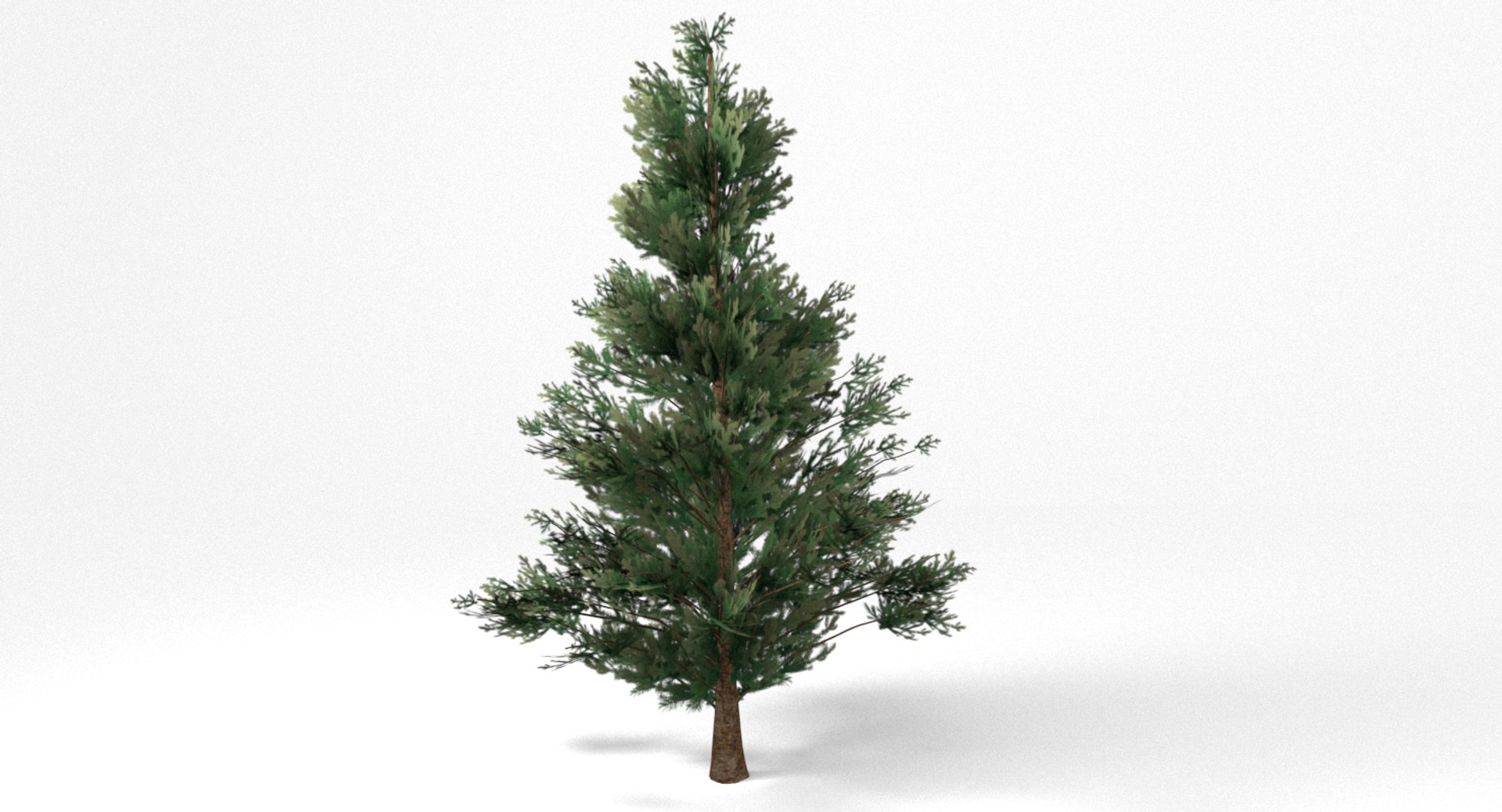3D Model Fir Tree - TurboSquid 1285235