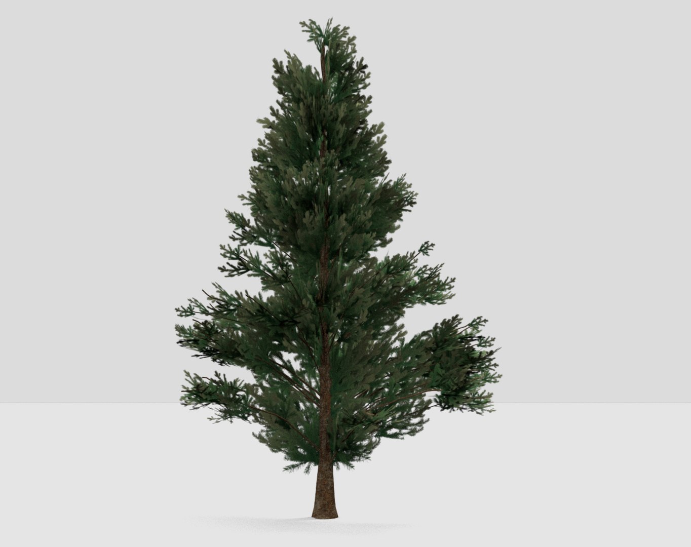 3D Model Fir Tree - TurboSquid 1285235