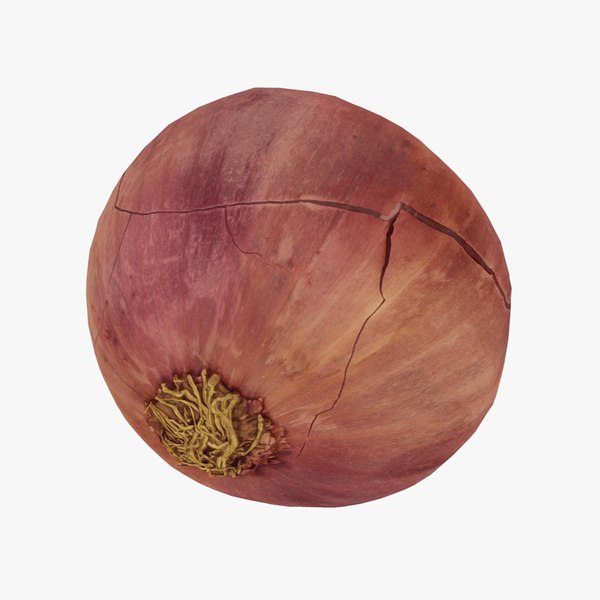 Red Onion - Real-Time 3D Scanned 3D model