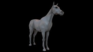 base mesh 3D