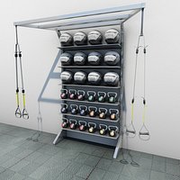 T Rex Medicine Ball Kettle Ball Cabinet