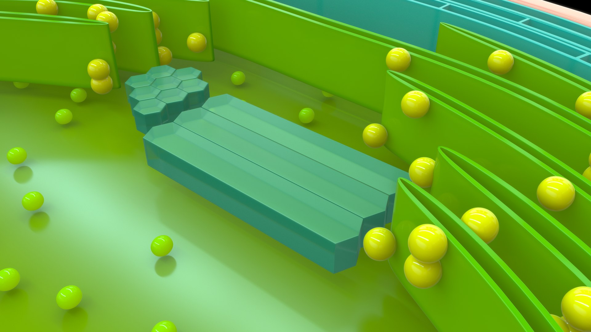 3D cyanobacteria cell https://p.turbosquid.com/ts-thumb/sf/HONW6F/ri/z0133_gasvacuoles_0004/jpg/1710823214/1920x1080/fit_q87/1663ad6fa3bcc4a9bef2f07d41a47bbb7613ca35/z0133_gasvacuoles_0004.jpg