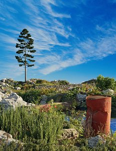 Nature Scene and Nature Pack