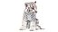 Rigged White Tiger Cub Fur